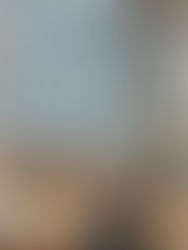 WHY COMPANIES ARE PRIORITIZING WORKPLACE DIVERSITY AND INCLUSION