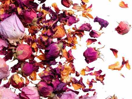A Guide To Cooking With Edible Flowers