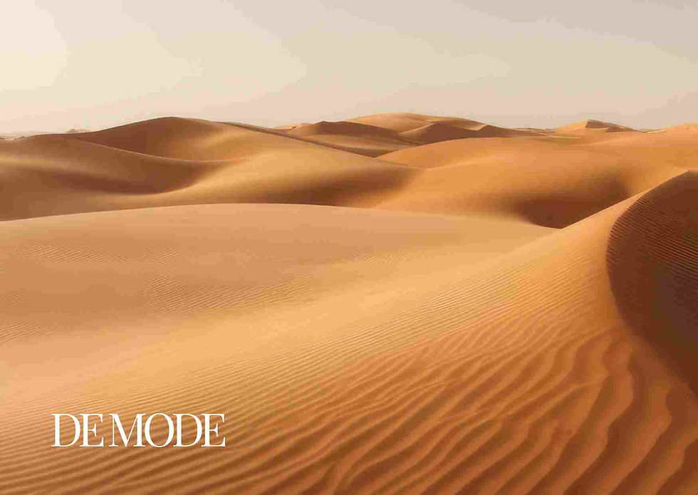 Across The Desert Plains To Discover Its Secrets