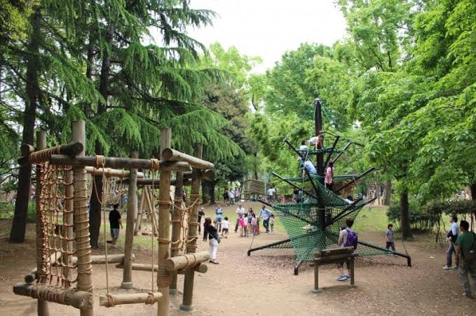 平和 の 森 公園 フィールド アスレチック