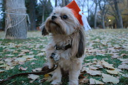 Oct 27, 2016 Beginner Graduation