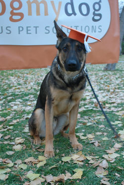 Oct 27, 2016 Beginner Graduation