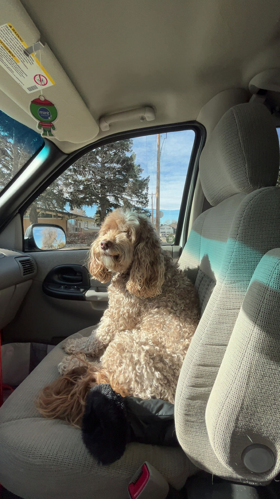 Doodle passenger