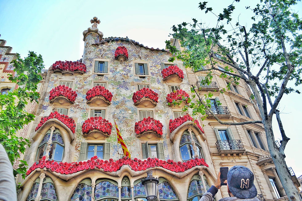 casa batlló sant jordi 2016