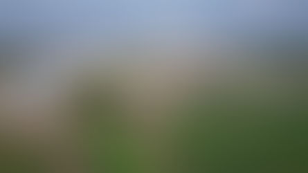 עדכון לשוק הנדלן ביבנה + נאות שמיר - יוני 2024