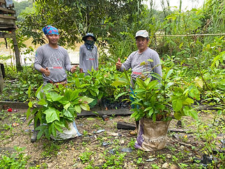 Team with tree from local nurseries.jpeg
