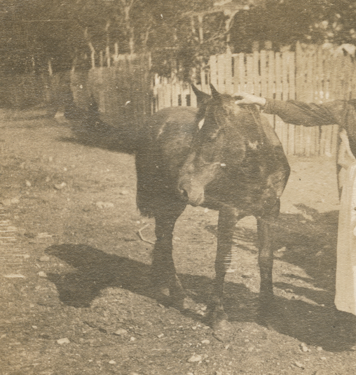 Screenshot 2026-01-10 at 7.59.21 PM.png