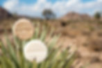 Shampoo and Conditioner Bar in Desert Scence