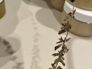 Weird Oil Wednesday Spotlight: Oregano – More Than a Pizza Topping