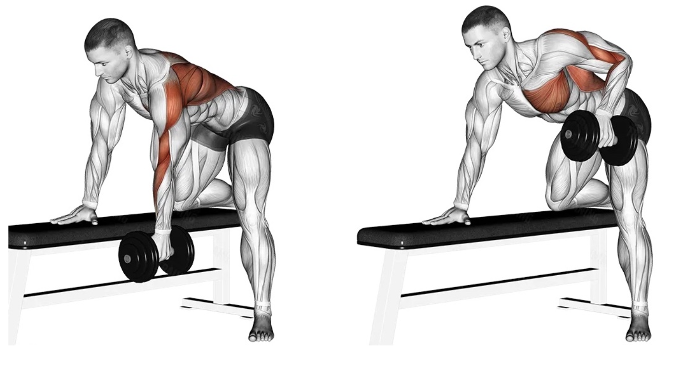 The Desk Job Dilemma: How to Beat Bad Posture Once and for All!