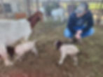 Personal Trainer working on a farm