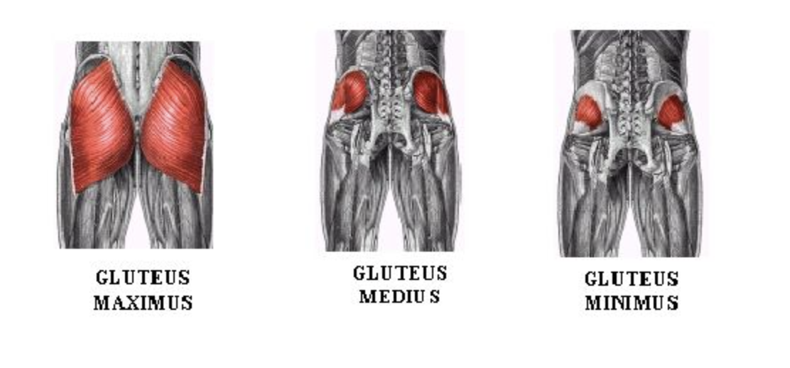 Are weak glutes holding you back? Why Training Your Glutes Is Essential. 