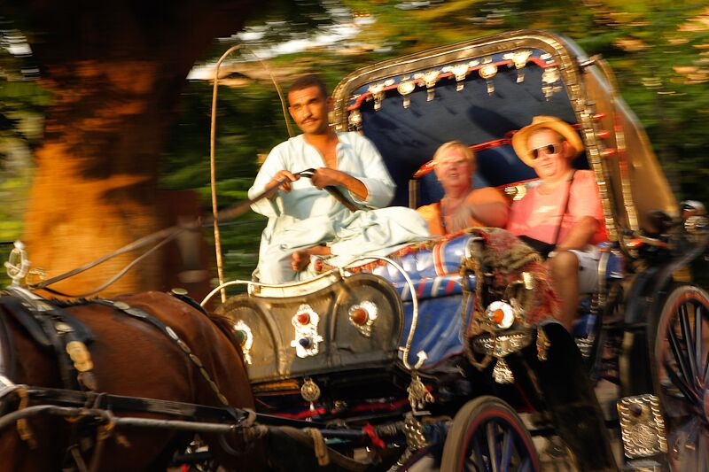 tourists ride in egypt