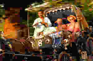 tourists ride in egypt