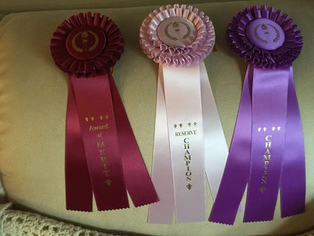 The Dayton/ Beavercreek OH Sale, Show and Auction is June 9th & 10th
In additio…