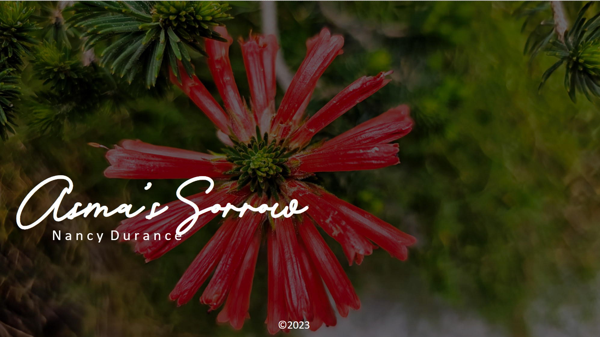 Asma's Sorrow (Piano Solo)