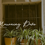 Thumbnail: The Morning Dove (Piano Solo)