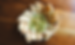 Honey Pistachio Feta Dip