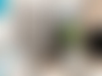 Chạm nhẹ vào văn hóa: Nét độc đáo của thiết kế nhà ống