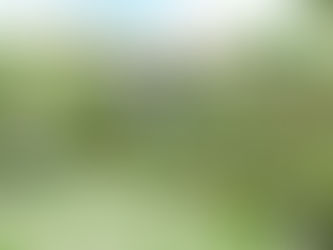 Chi tiết bảng giá thi công sân vườn mới nhất 2022