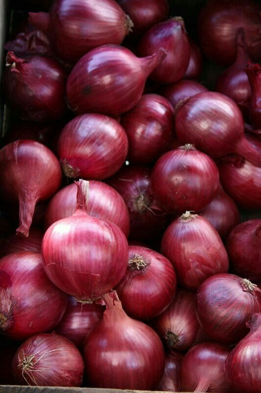 Red Onion