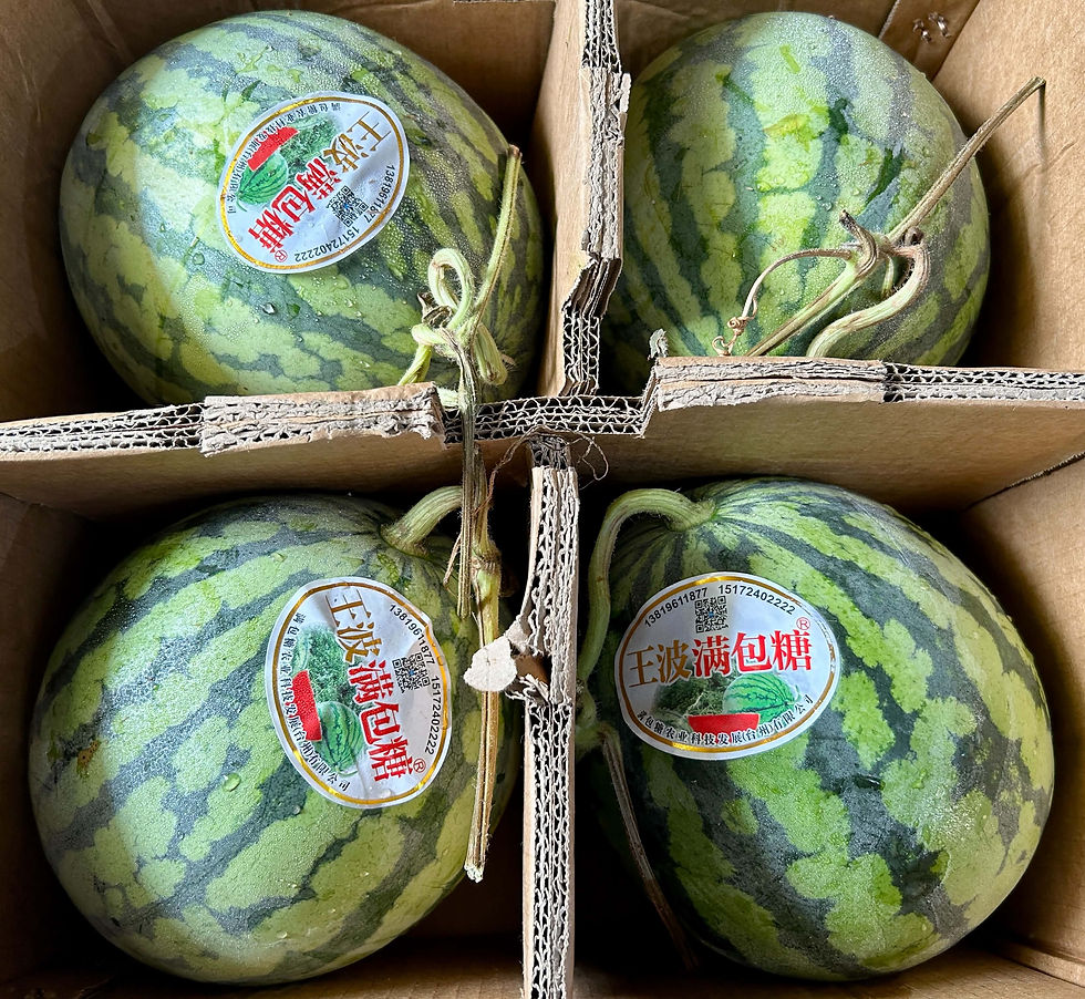 Thumbnail: Japan Watermelon
