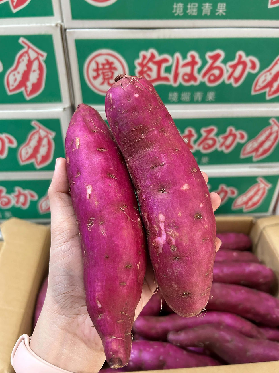 Japan Sweet Potato (Beniharuka Variety)