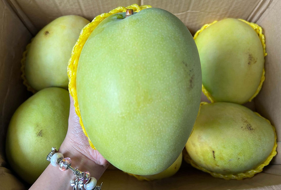 Bangkok Mango 