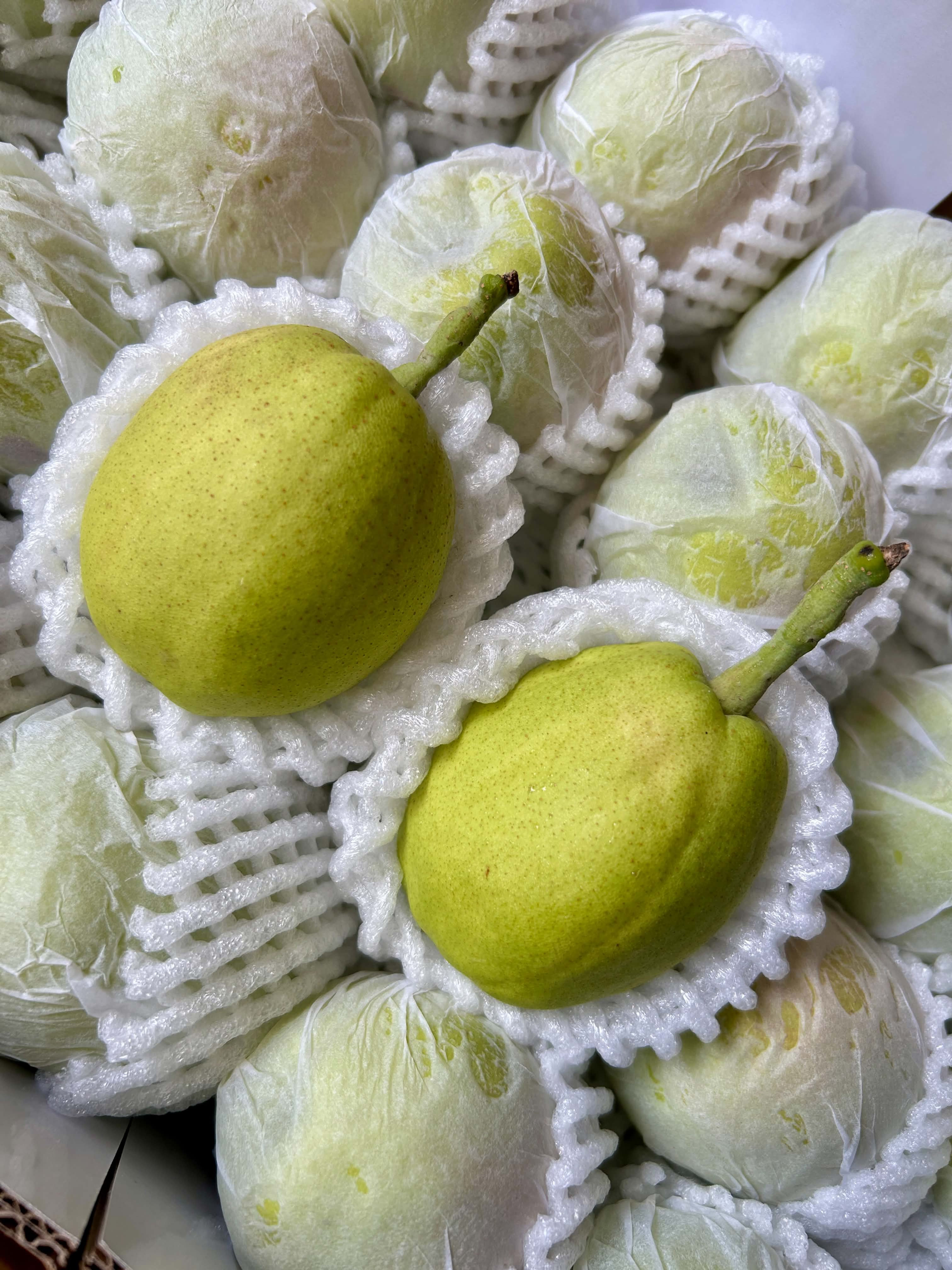 Fragrant Pear