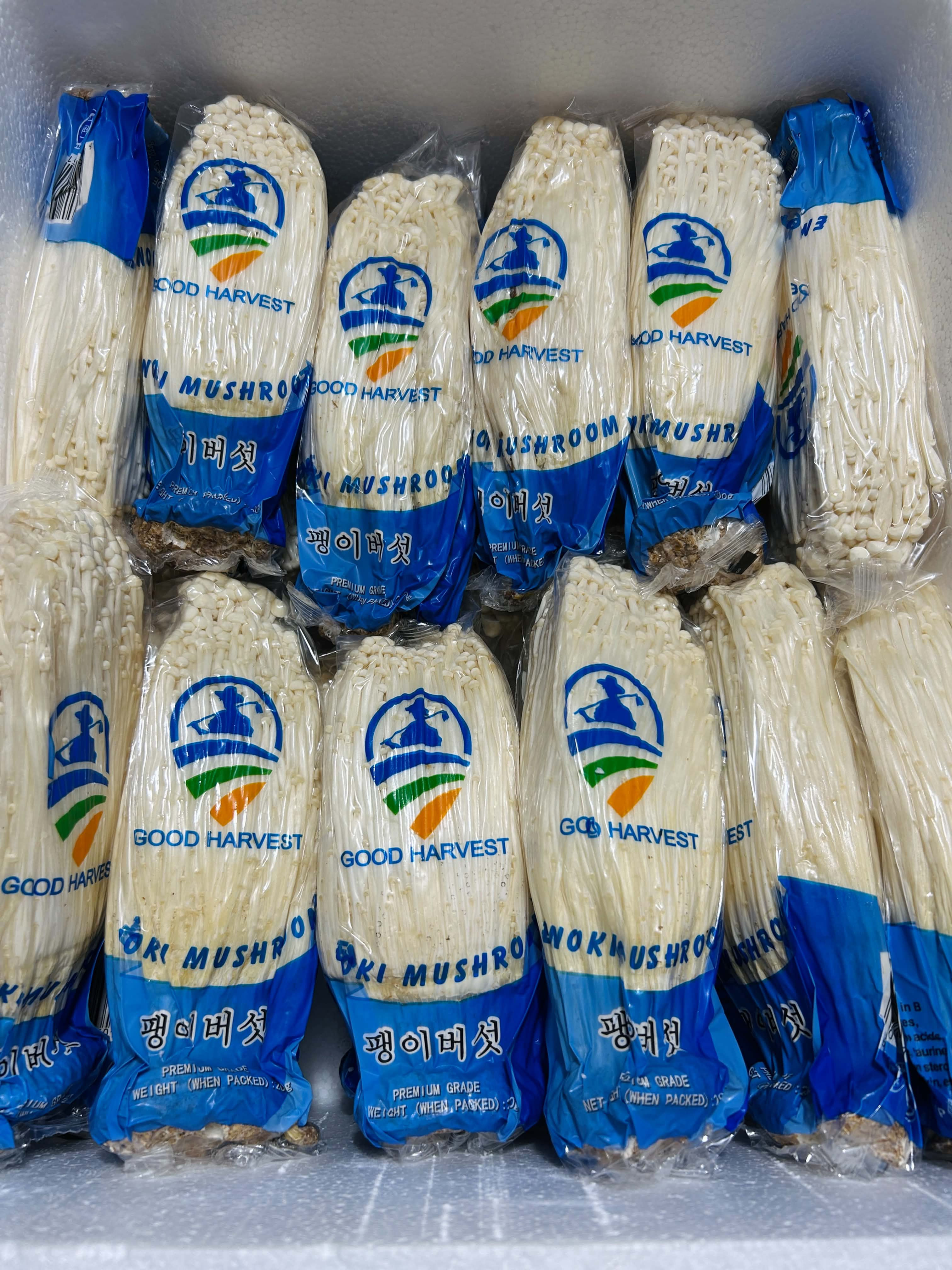 Enoki Golden Mushroom