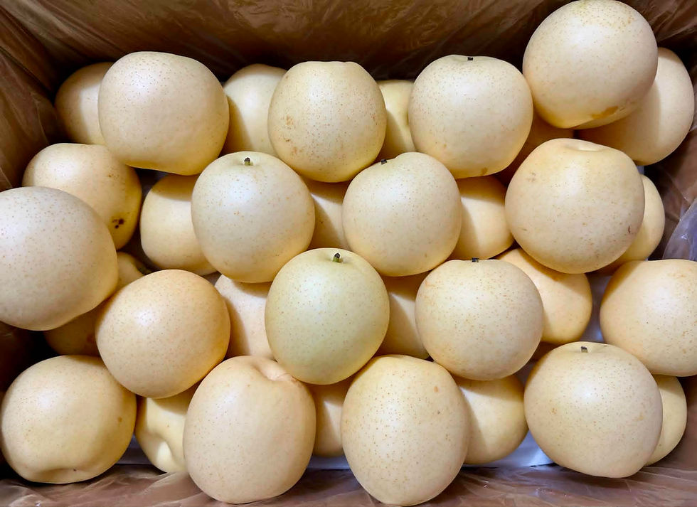 Century Pear 