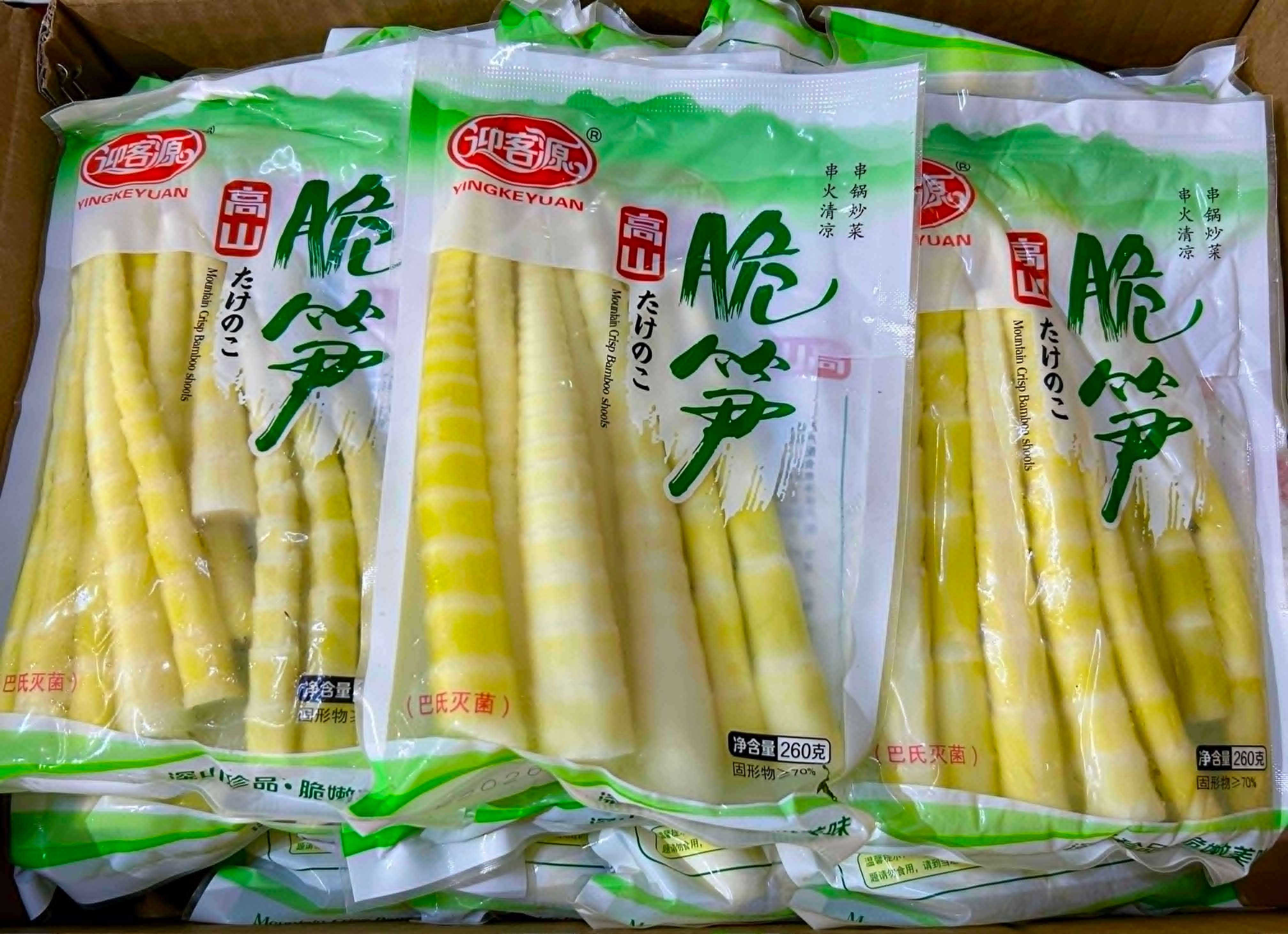 Bamboo Shoot