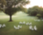 250510_Tim-Sallie-Wedding_1076_film.jpg