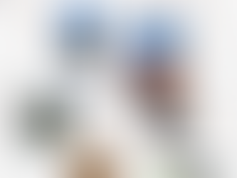 Scrapbook of trip to Tasmania 