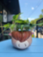 Brush + Bloom: Highland Cow Planter