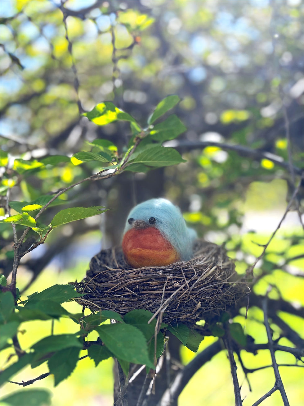 Needle Felted Bird Workshop