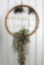 Wire Words Air Plant Hanger Workshop