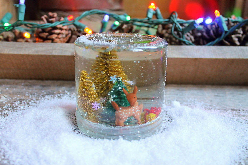 Snowglobe Workshop