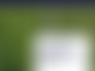 Strengthening Governance of the Downstream Palm Oil Industry: Implementation of ISPO Certification through Minister of Industry Regulation No. 38 of 2025