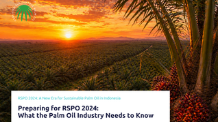 The Future of Sustainable Palm Oil is Changing are e Ready for What Comes Next?