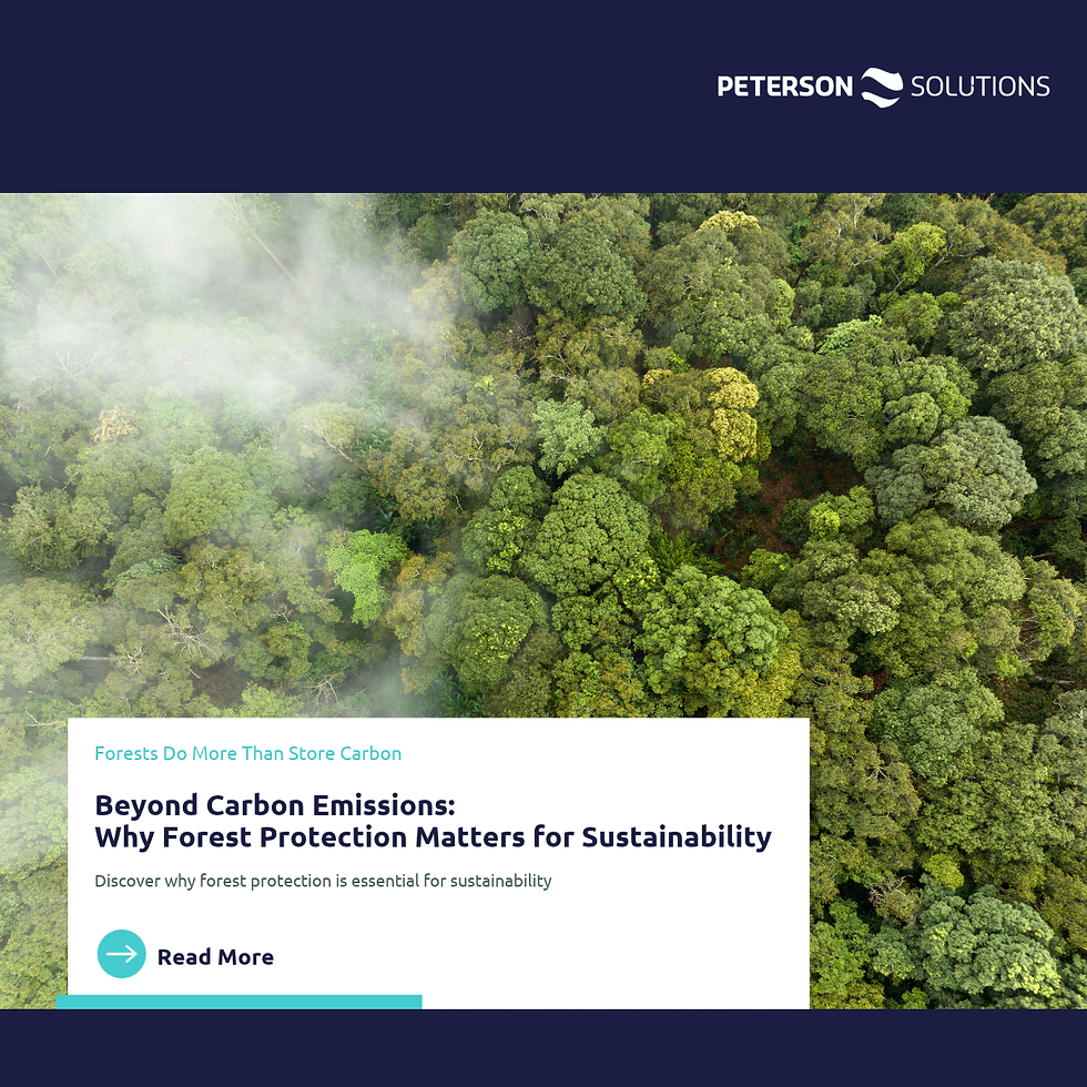 Beyond Carbon: Are Businesses Paying Enough Attention to Nature?