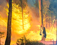 Lana and the Wildfire