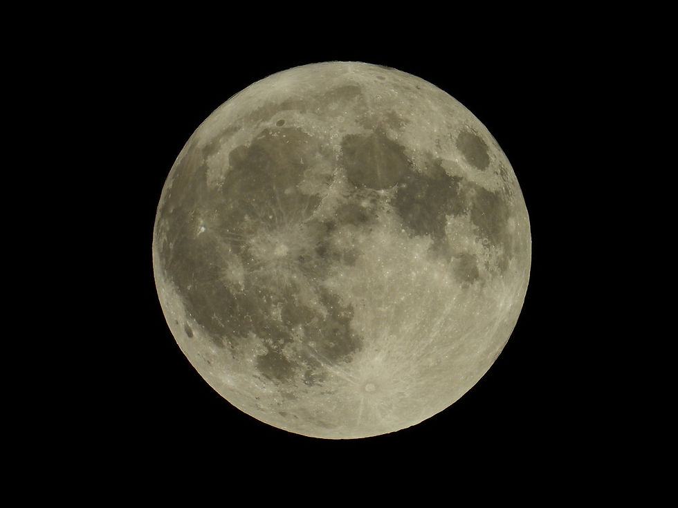 月を見てみよう