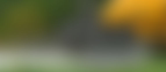EL PERVERSO SECRETO DE LA INDUSTRIA AGROQUÍMICA