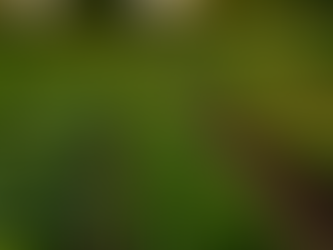 AGROECOLOGÍA: POR UNA PRODUCCIÓN Y NUTRICIÓN SALUDABLES