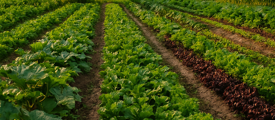 AGROECOLOGÍA: POR UNA PRODUCCIÓN Y NUTRICIÓN SALUDABLES