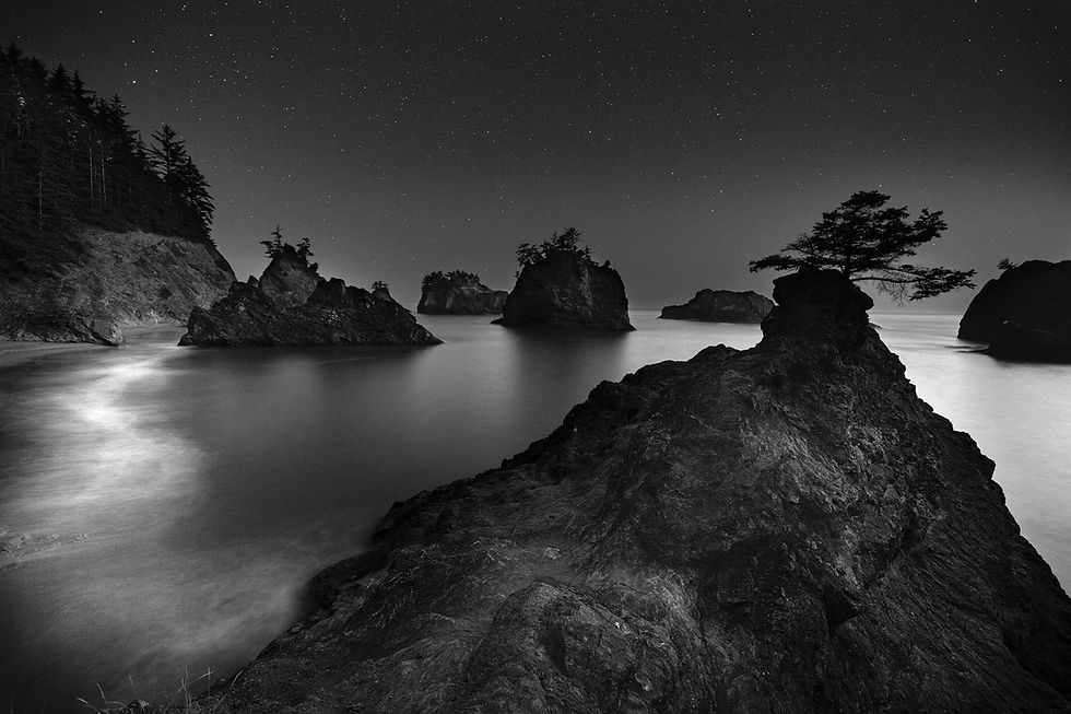 Pacific Coast at Night