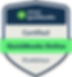 QB Payton Badge.png
