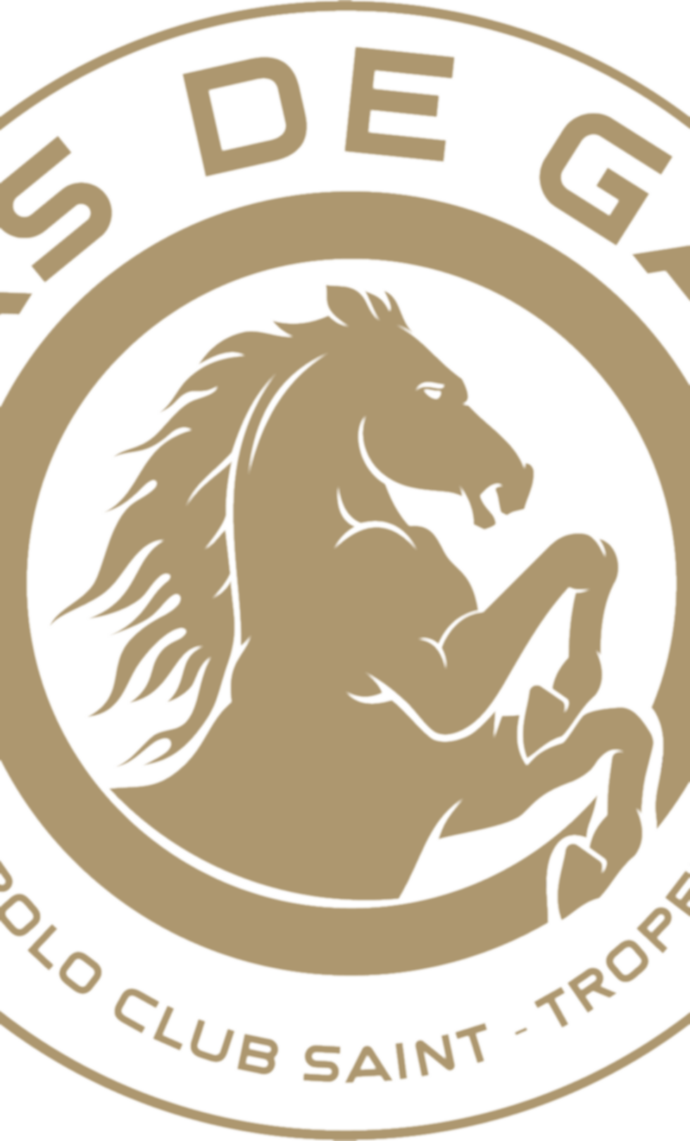 HARAS GOLD.png