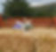 IMG-20240331-WA0002.jpg